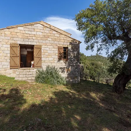 Casa Gialla By Interhome Casa de Férias