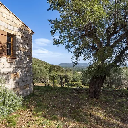 Casa Gialla By Interhome * Arraggio