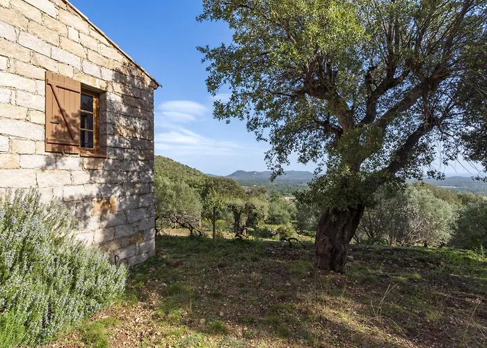 Casa Gialla By Interhome * Arraggio